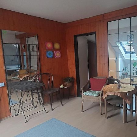 Brno - Apartman V Bohemske Ctvrti Kamenka Buitenkant foto