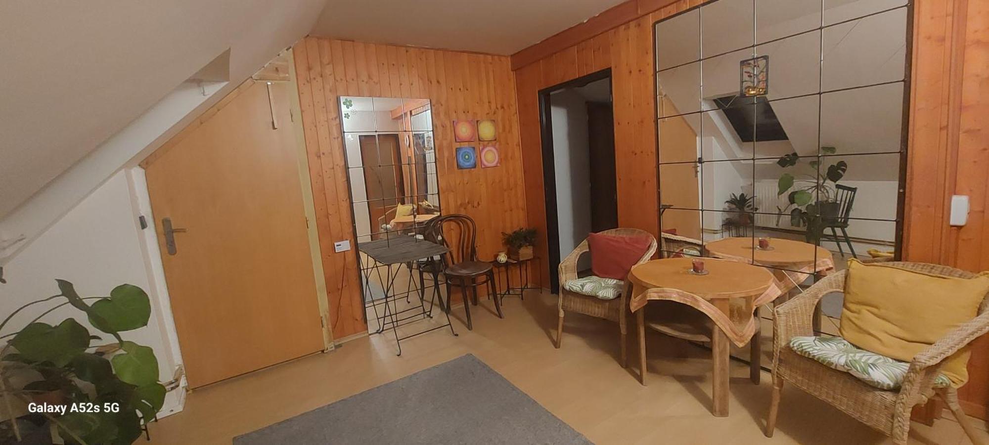 Brno - Apartman V Bohemske Ctvrti Kamenka Buitenkant foto