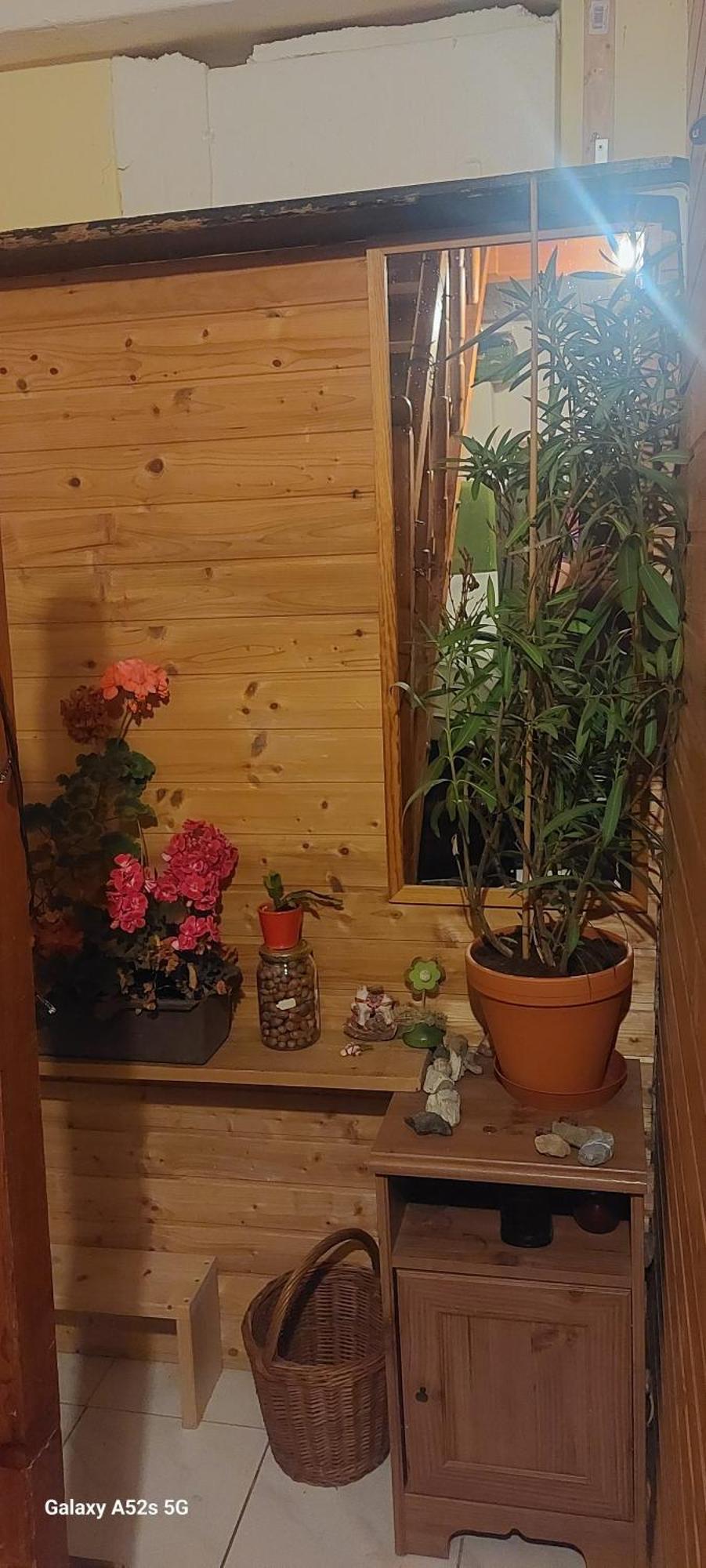 Brno - Apartman V Bohemske Ctvrti Kamenka Buitenkant foto