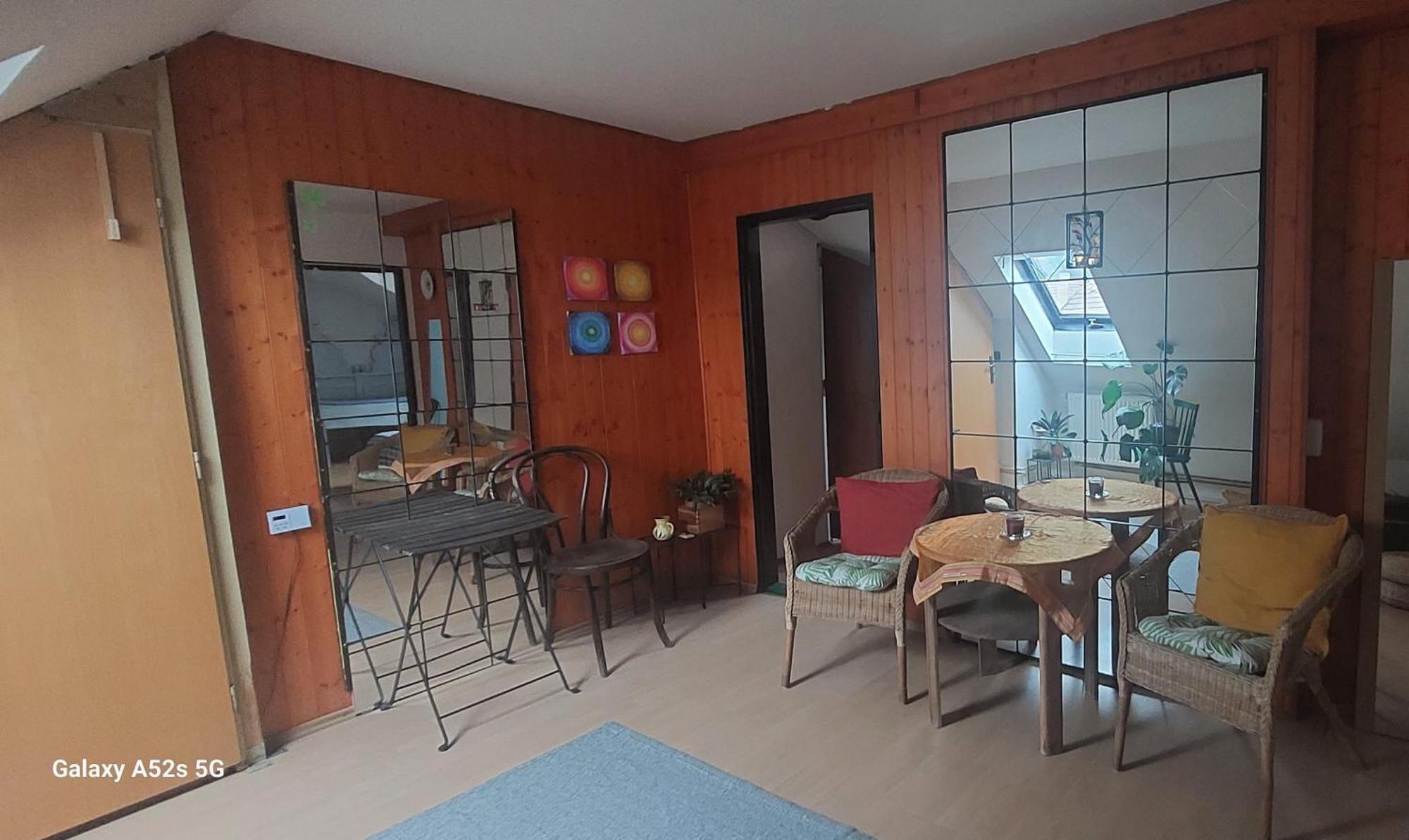 Brno - Apartman V Bohemske Ctvrti Kamenka Buitenkant foto